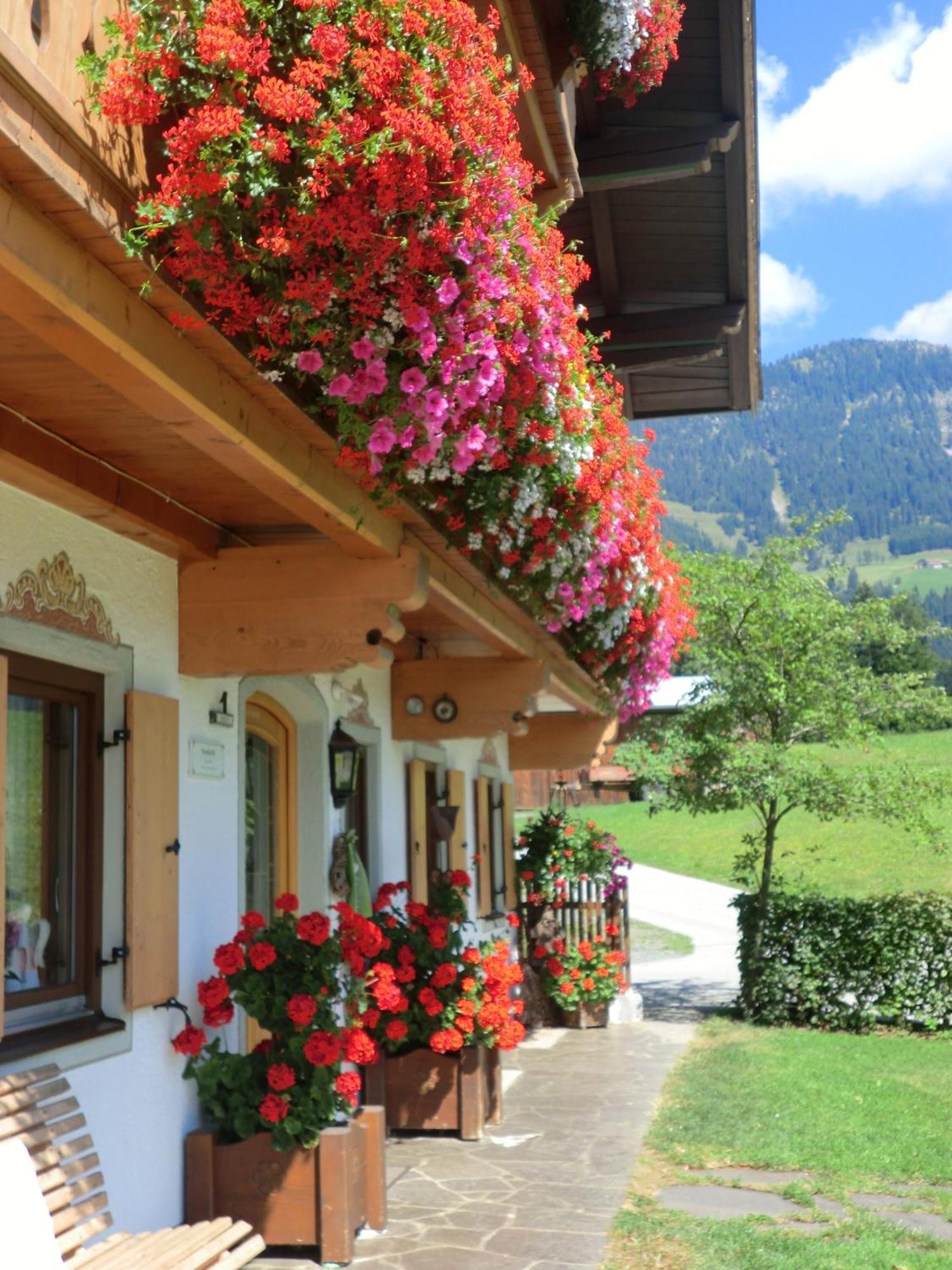 Vornbichlhof Apartment Fieberbrunn Luaran gambar